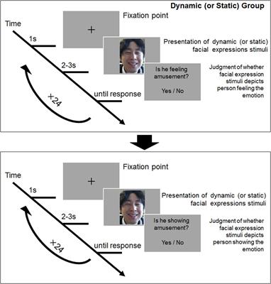 Dynamic Displays Enhance the Ability to Discriminate Genuine and Posed Facial Expressions of Emotion